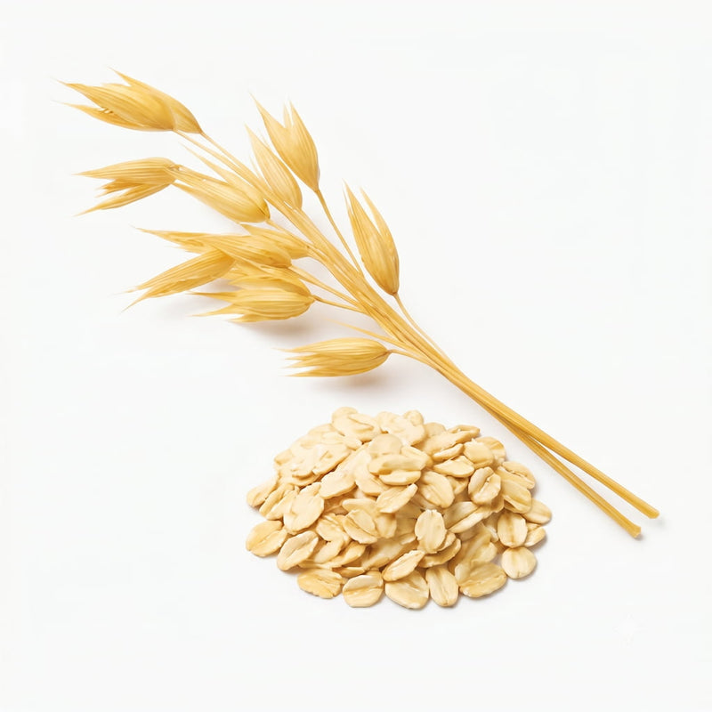 Avena Coloidal